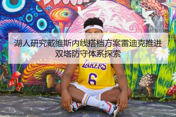 湖人研究戴维斯内线搭档方案雷迪克推进双塔防守体系探索